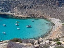 cala pulcino