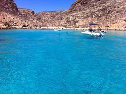 cala pulcino