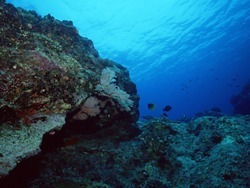fondale a Lampedusa