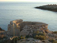 fortino