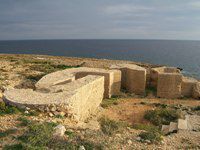 fortino