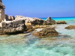 isola dei conigli