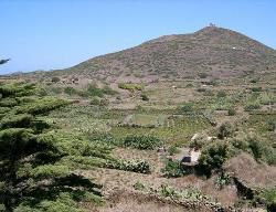 Linosa